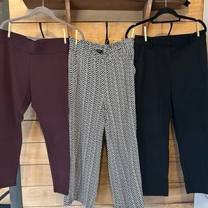 Loft Bottoms Bundle - Size M/10 - $200 value